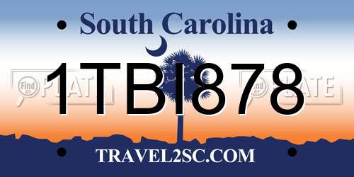 1TBI878 South Carolina License Plate