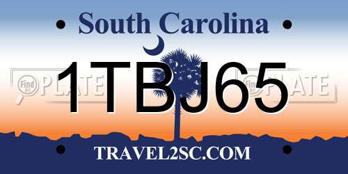1TBJ65 South Carolina License Plate