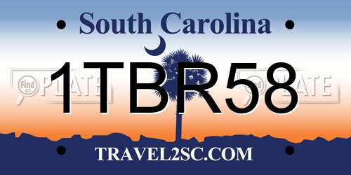 1TBR58 South Carolina License Plate