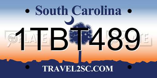 1TBT489 South Carolina License Plate