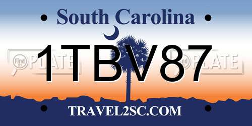1TBV87 South Carolina License Plate