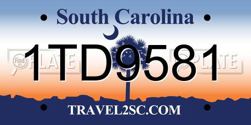 1TD9581 South Carolina License Plate