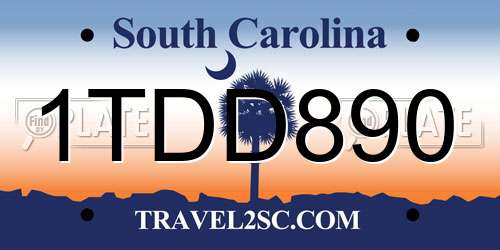 1TDD890 South Carolina License Plate