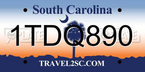 1TDQ890 South Carolina License Plate