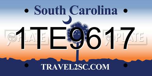 1TE9617 South Carolina License Plate