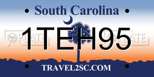 1TEH95 South Carolina License Plate