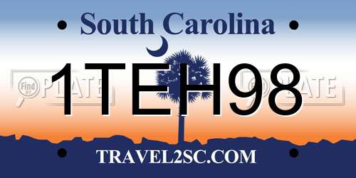 1TEH98 South Carolina License Plate