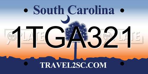 1TGA321 South Carolina License Plate