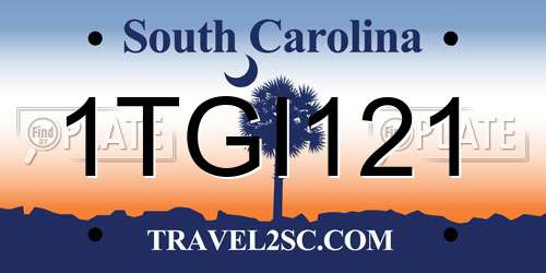 1TGI121 South Carolina License Plate