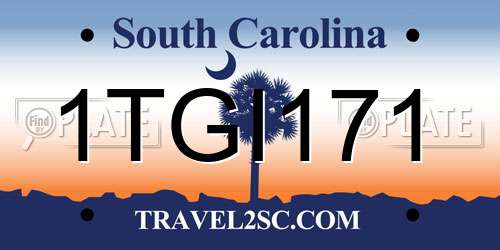 1TGI171 South Carolina License Plate