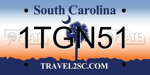 1TGN51 South Carolina License Plate