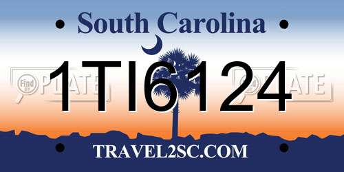 1TI6124 South Carolina License Plate
