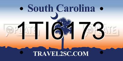 1TI6173 South Carolina License Plate