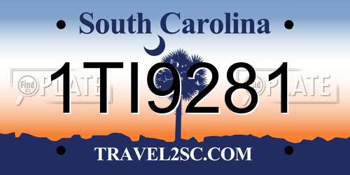 1TI9281 South Carolina License Plate