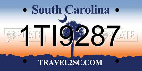 1TI9287 South Carolina License Plate