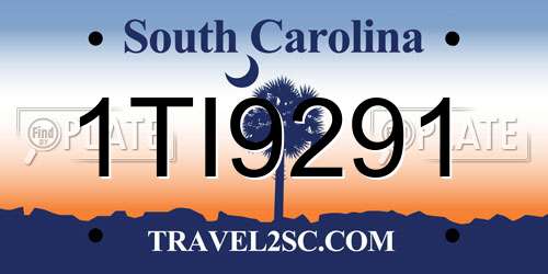 1TI9291 South Carolina License Plate
