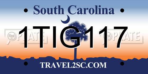 1TIG117 South Carolina License Plate