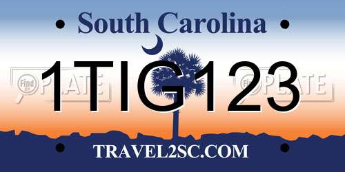 1TIG123 South Carolina License Plate