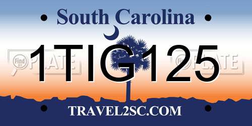 1TIG125 South Carolina License Plate