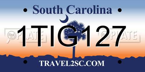 1TIG127 South Carolina License Plate