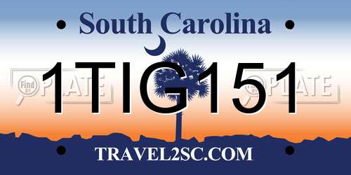 1TIG151 South Carolina License Plate