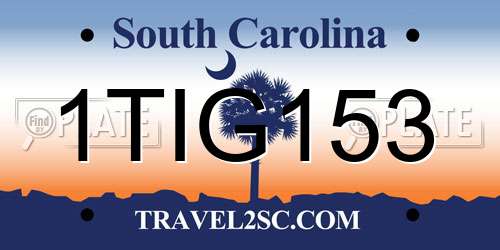 1TIG153 South Carolina License Plate