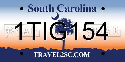 1TIG154 South Carolina License Plate