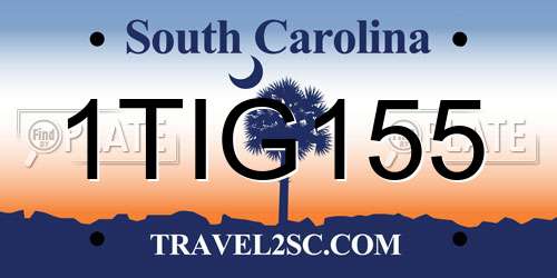 1TIG155 South Carolina License Plate