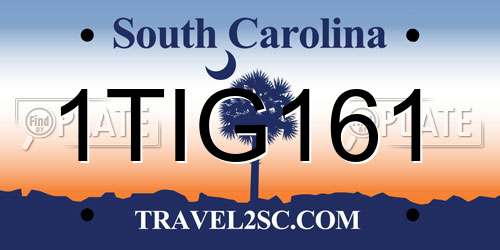 1TIG161 South Carolina License Plate