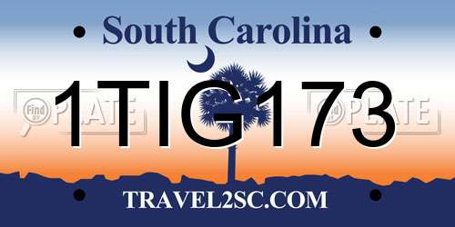 1TIG173 South Carolina License Plate