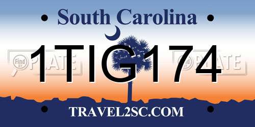 1TIG174 South Carolina License Plate