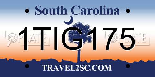 1TIG175 South Carolina License Plate