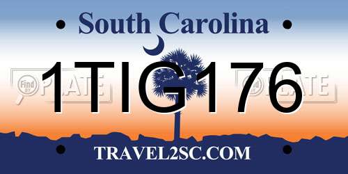 1TIG176 South Carolina License Plate