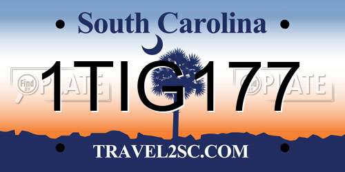 1TIG177 South Carolina License Plate