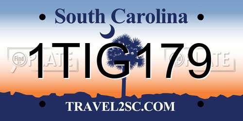 1TIG179 South Carolina License Plate
