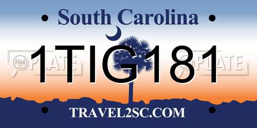 1TIG181 South Carolina License Plate