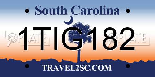 1TIG182 South Carolina License Plate