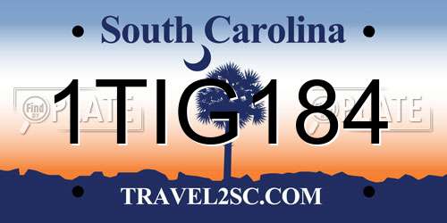 1TIG184 South Carolina License Plate