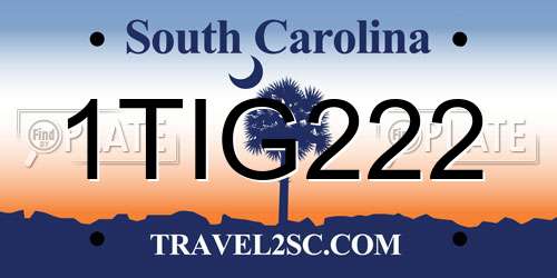 1TIG222 South Carolina License Plate