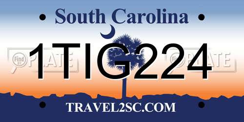 1TIG224 South Carolina License Plate