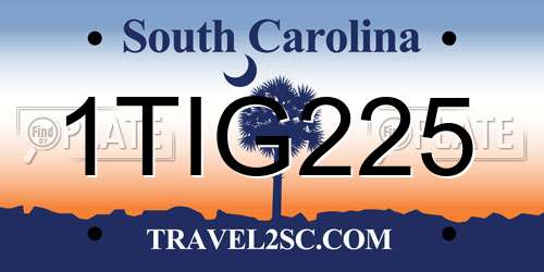 1TIG225 South Carolina License Plate