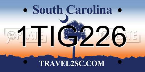 1TIG226 South Carolina License Plate