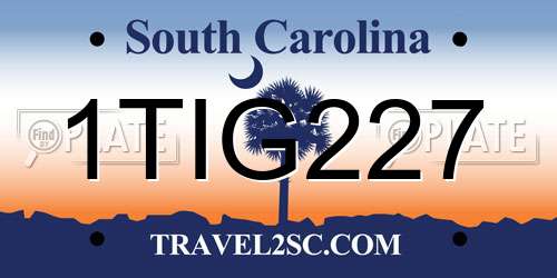 1TIG227 South Carolina License Plate
