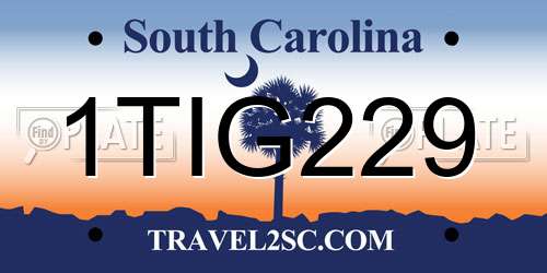 1TIG229 South Carolina License Plate