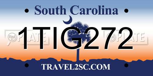 1TIG272 South Carolina License Plate