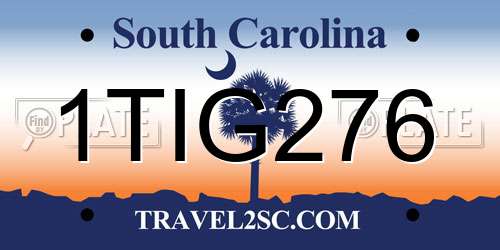 1TIG276 South Carolina License Plate