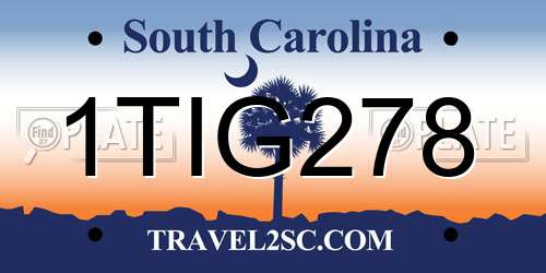 1TIG278 South Carolina License Plate