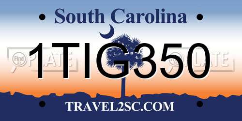 1TIG350 South Carolina License Plate