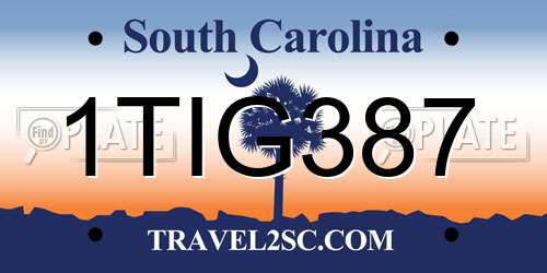 1TIG387 South Carolina License Plate