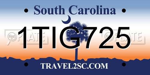 1TIG725 South Carolina License Plate